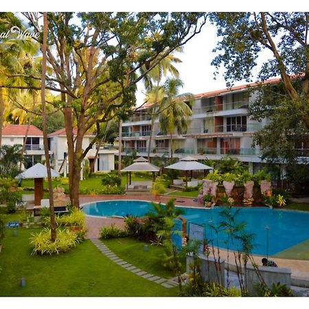 Aarju Luxurious Stay Calangute Eksteriør bilde